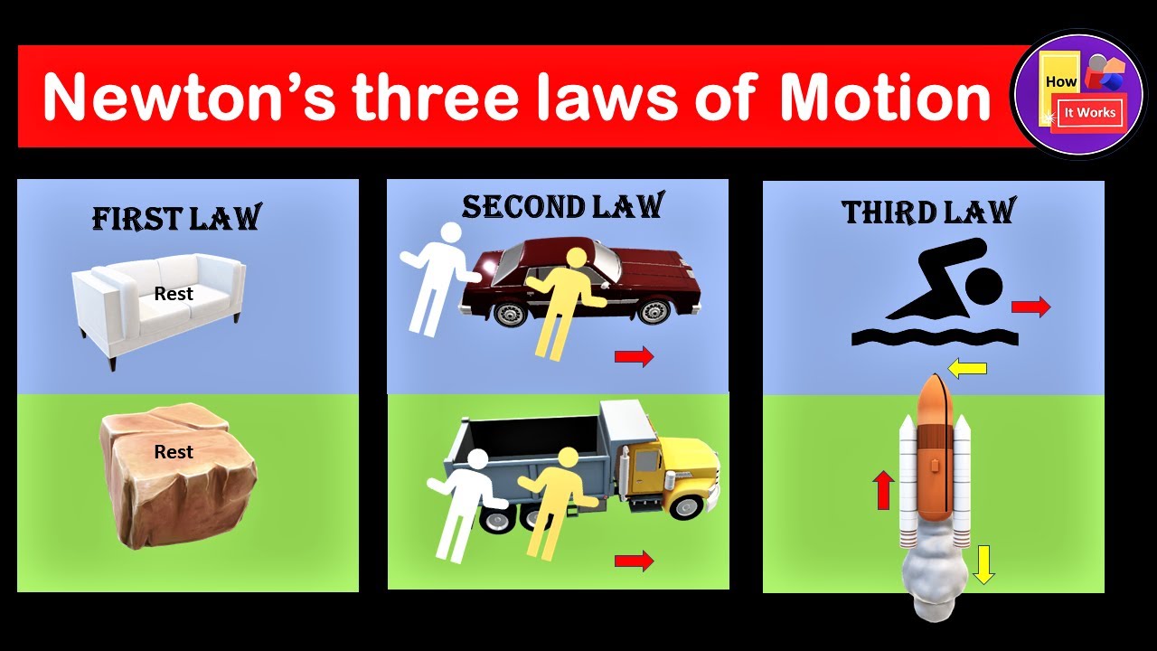 10+ Countries With Unique Age Laws Explained
