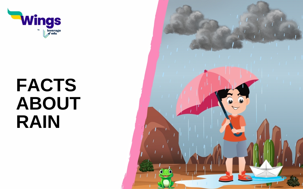 10 Rain Facts Revealing Abiotic Truth