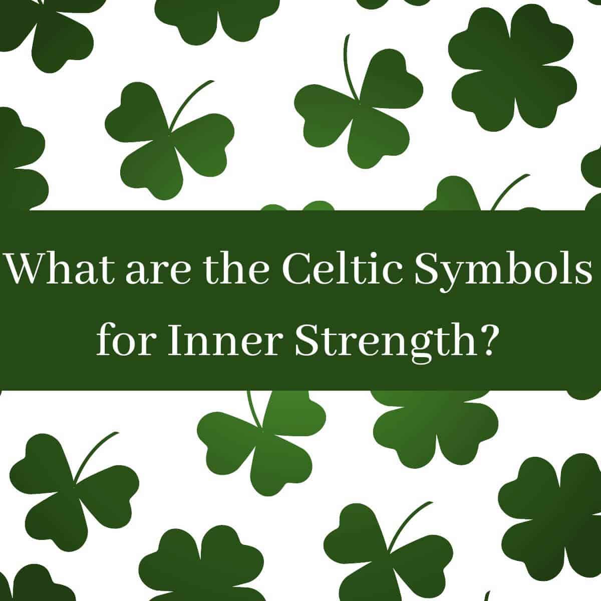 7 Spider Web Symbols For Inner Strength