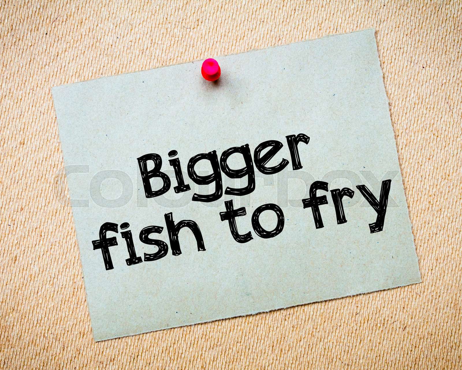 Bigger Fish To Fry Puretaboo