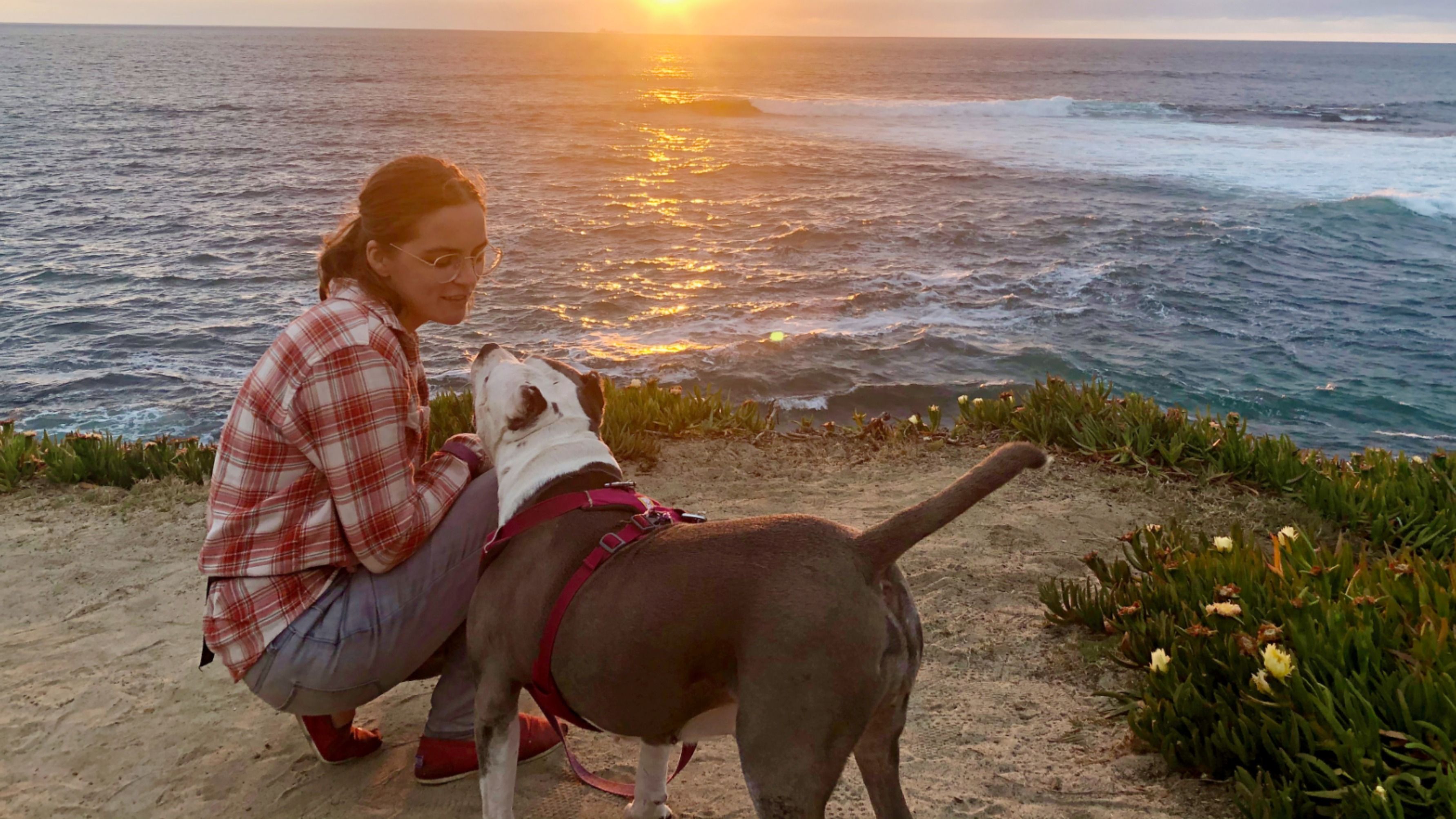 Dog Sex Facts: Understanding Canine Behavior