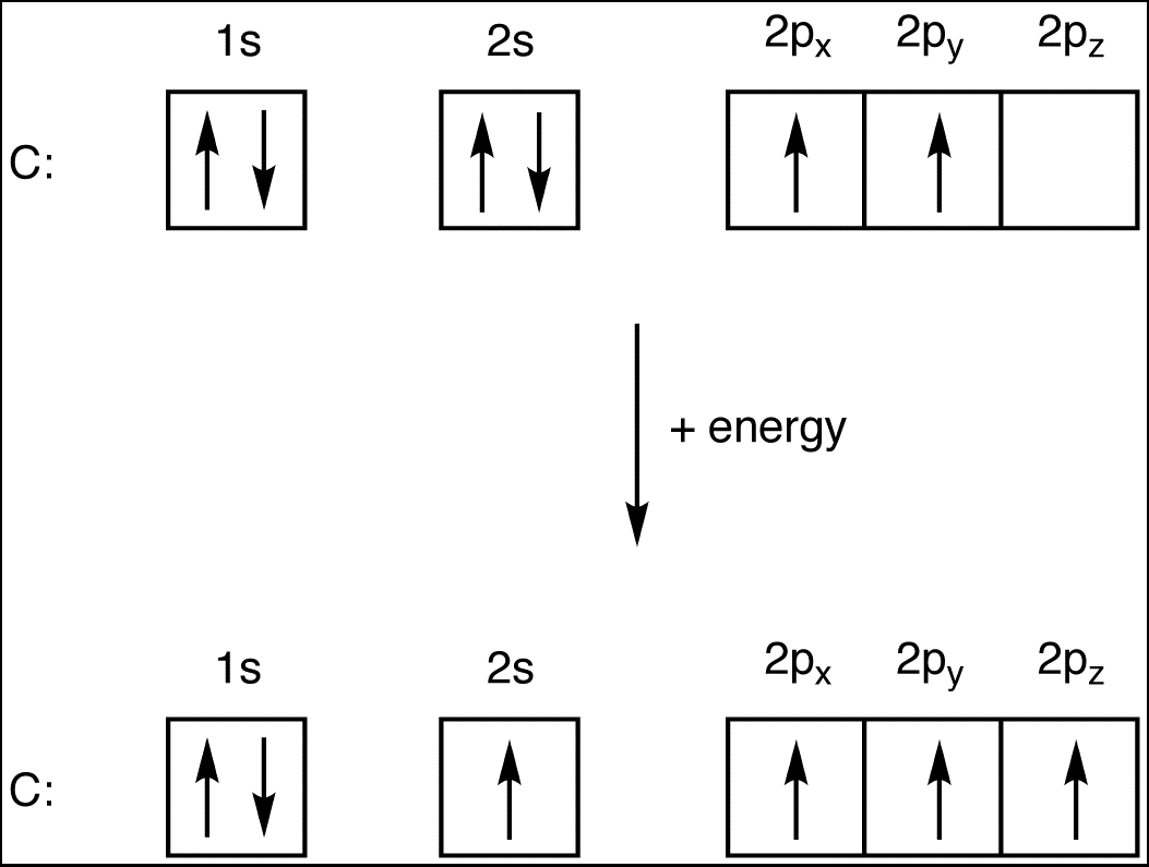 Electron Arrangement Carbon