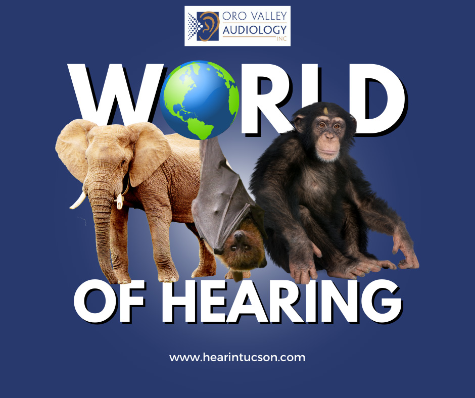 How Do Animals Hear? Understanding Auditory Range