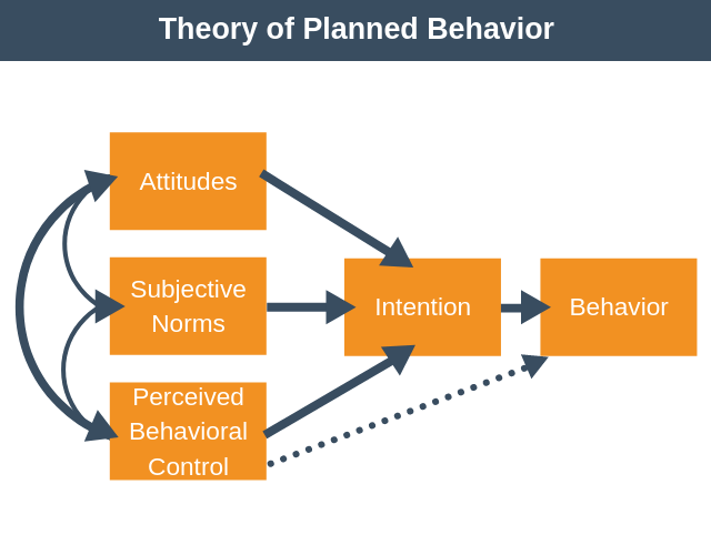 How Does Social Theory Explain Behavior? Expert Insights