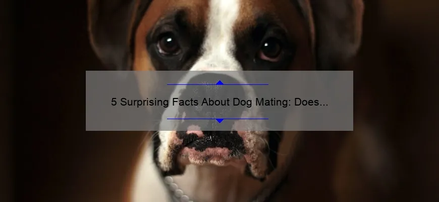 How Safe Is Dog Mating Porn? Expert Advice