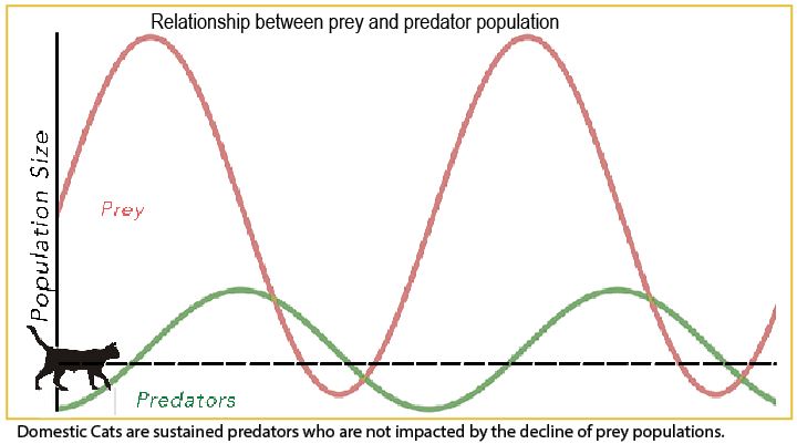 How To Read Predator Prey Graph? Easy Analysis