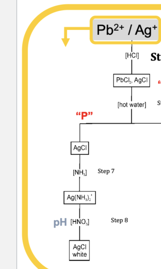 How To Write Agcl Formula? Simple Explanation How To Write Agcl Formula? Simple Explanation