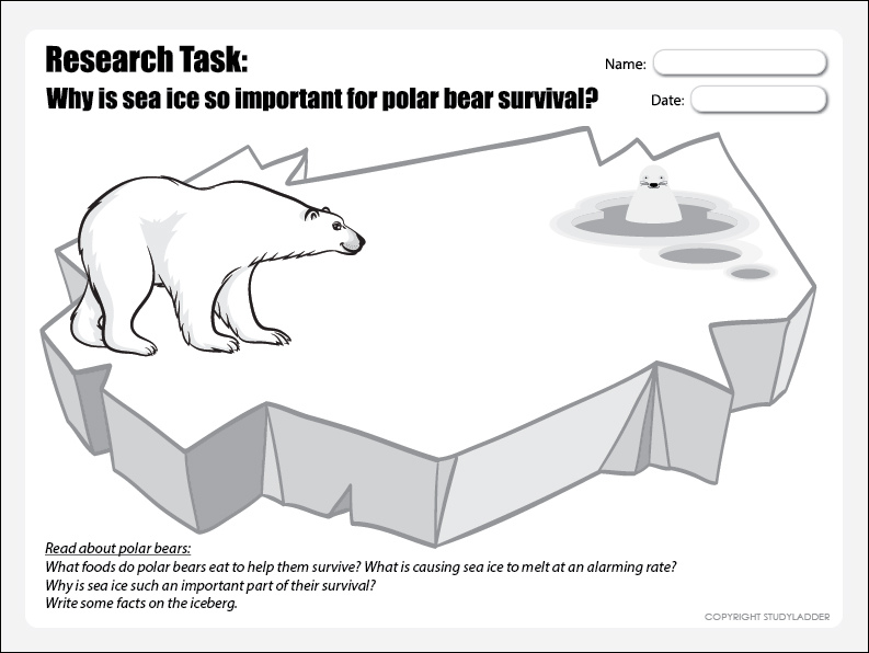 Polar Bear R34: Essential Facts & Survival Tips