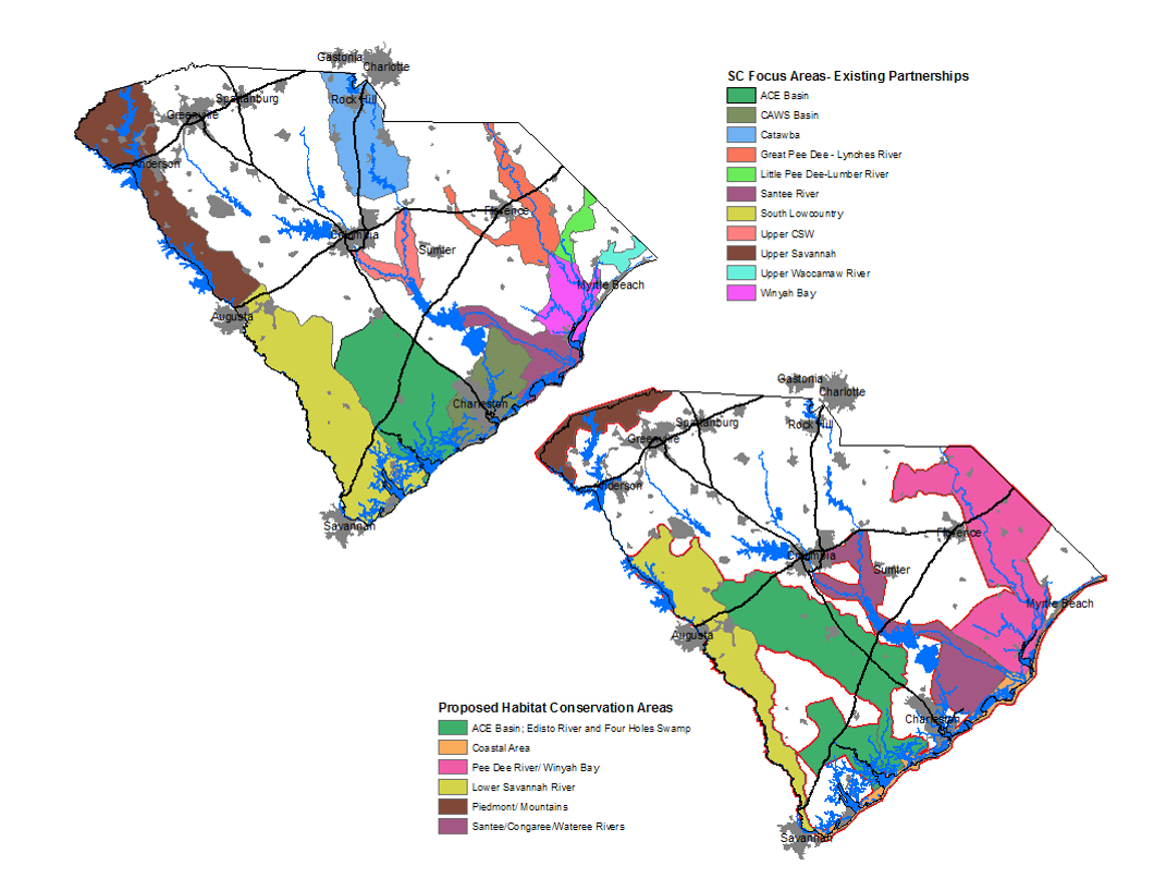 Polar Bear R34: Guide To Habitat & Conservation Efforts