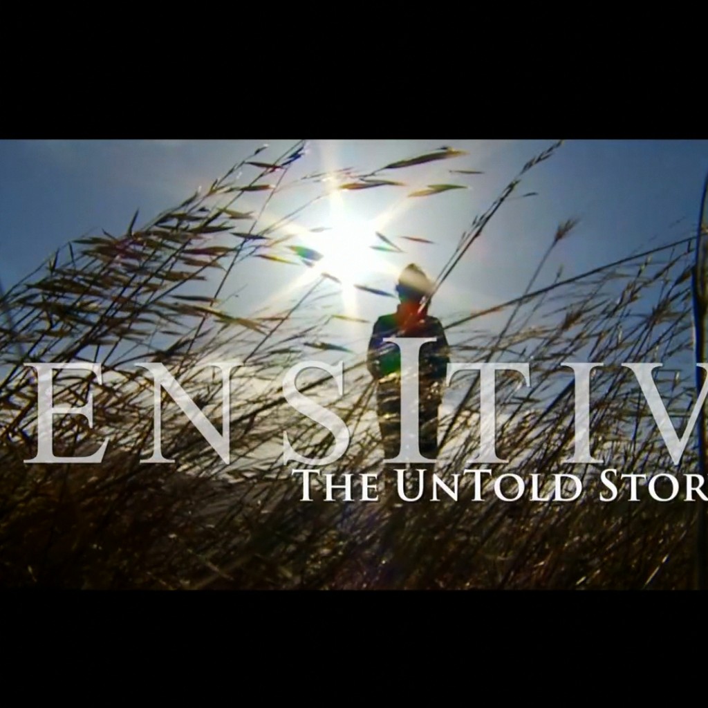 Sensitive Content Movie