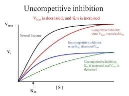 Uncompetitive Enzyme Inhibition: Boosts Drug Efficacy