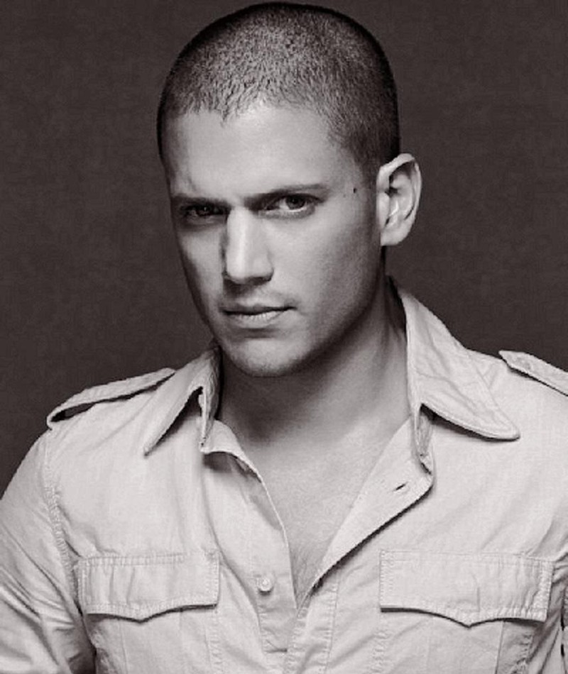 Wentworth Miller Cock