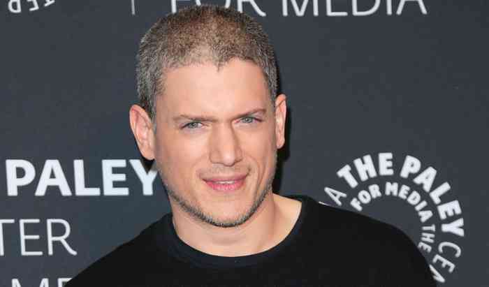 Wentworth Miller Facts: Career Highlights Revealed Wentworth Miller Facts: Career Highlights Revealed