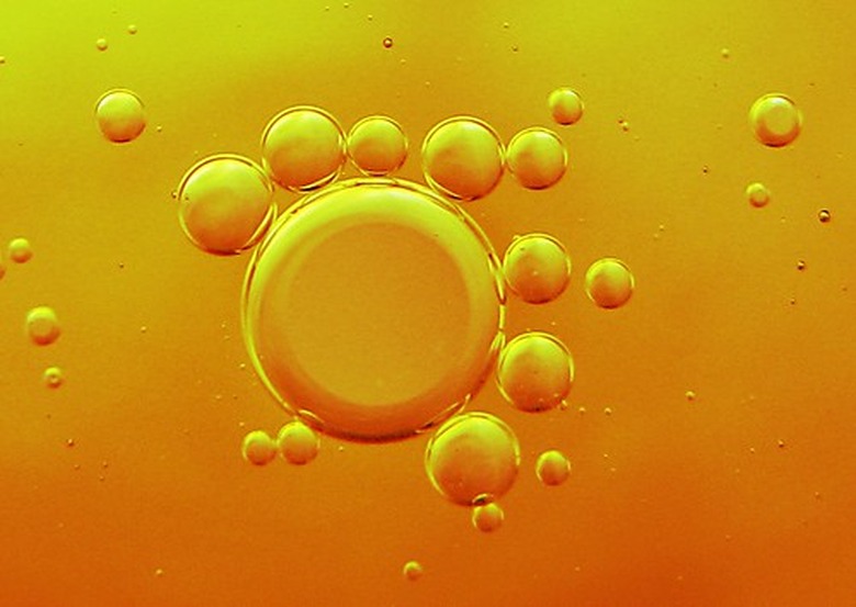 What Are The Monomers Of Triglycerides What Are The Monomers Of Triglycerides