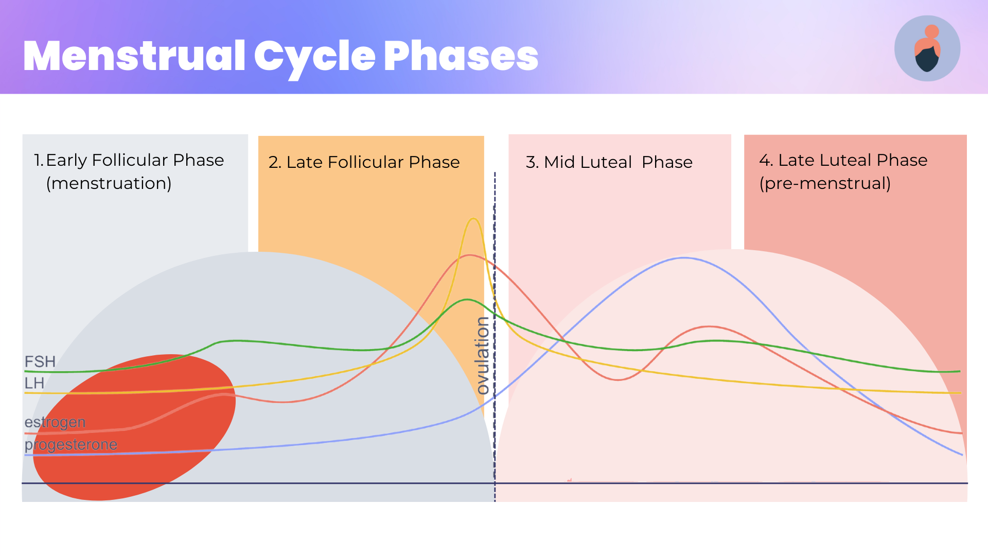 What Is A Fish's Life Cycle? Stages Explained What Is A Fish's Life Cycle? Stages Explained